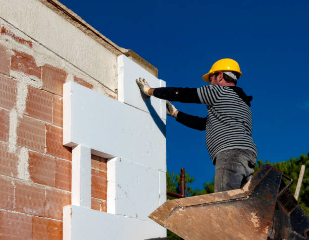 Best Insulation Maintenance and Repair in Eulyptus Hills, CA