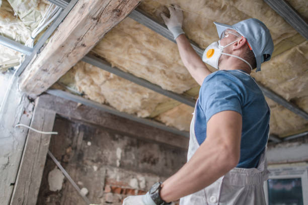 Best Commercial Insulation in Eulyptus Hills, CA